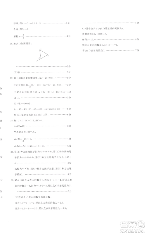 新疆青少年出版社2022优学1+1评价与测试七年级上册数学人教版参考答案