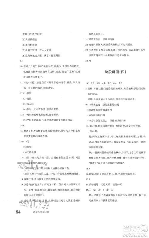 新疆青少年出版社2022优学1+1评价与测试八年级上册语文人教版参考答案