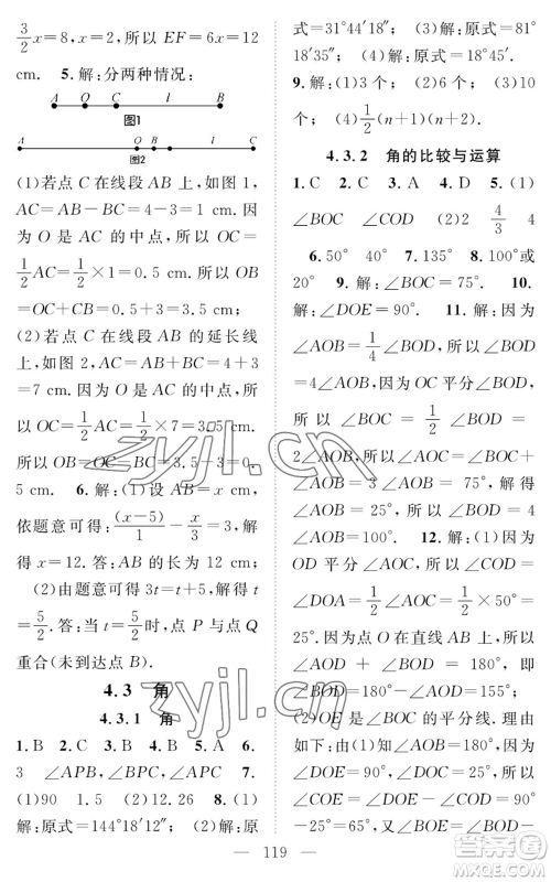 长江少年儿童出版社2022智慧课堂创新作业七年级上册数学人教版参考答案