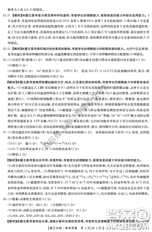 金太阳10月联考2022-2023年度高三年级阶段性考试生物试卷答案