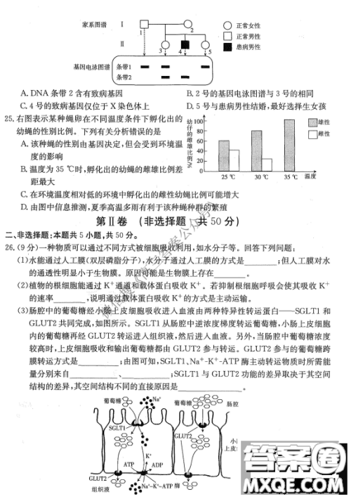 金太阳10月联考2022-2023年度高三年级阶段性考试生物试卷答案