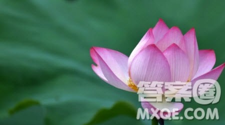 我眼中的夏天为题作文600字 关于我眼中的夏天为题目的作文600字 我眼中的夏天为题作文600字 关于我眼中的夏天为题目的作文600字