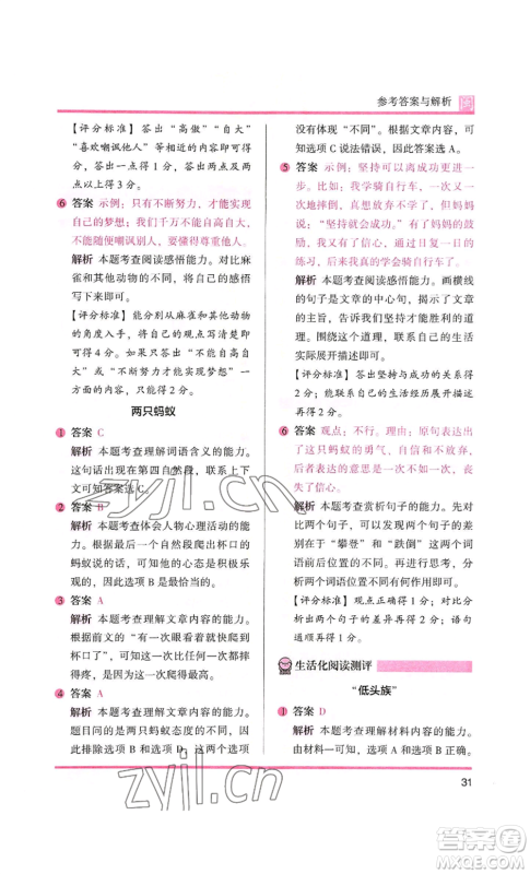 鹭江出版社2022木头马阅读力测评三年级语文人教版A版福建专版参考答案