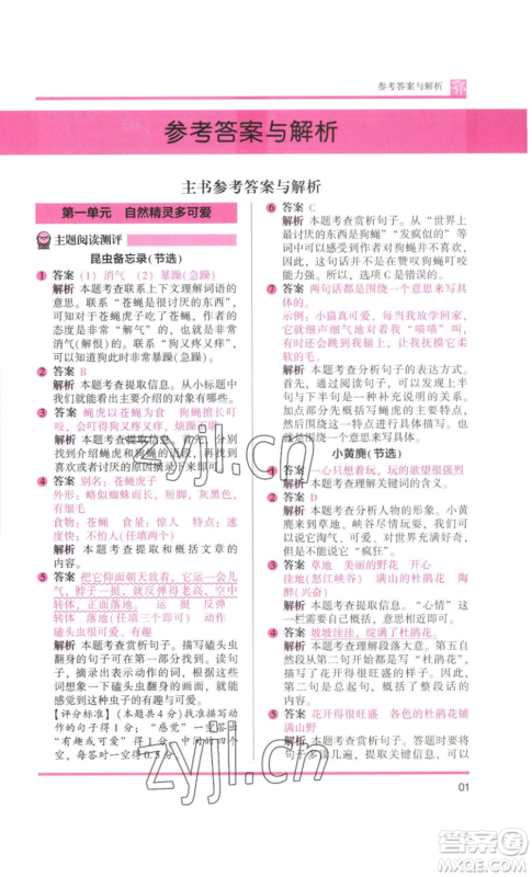 江苏凤凰美术出版社2022木头马阅读力测评三年级语文人教版B版大武汉专版参考答案 江苏凤凰美术出版社2022木头马阅读力测评三年级语文人教版B版大武汉专版参考答案