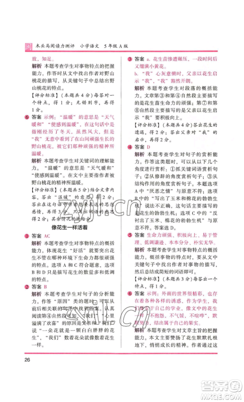 鹭江出版社2022木头马阅读力测评五年级语文人教版A版福建专版参考答案