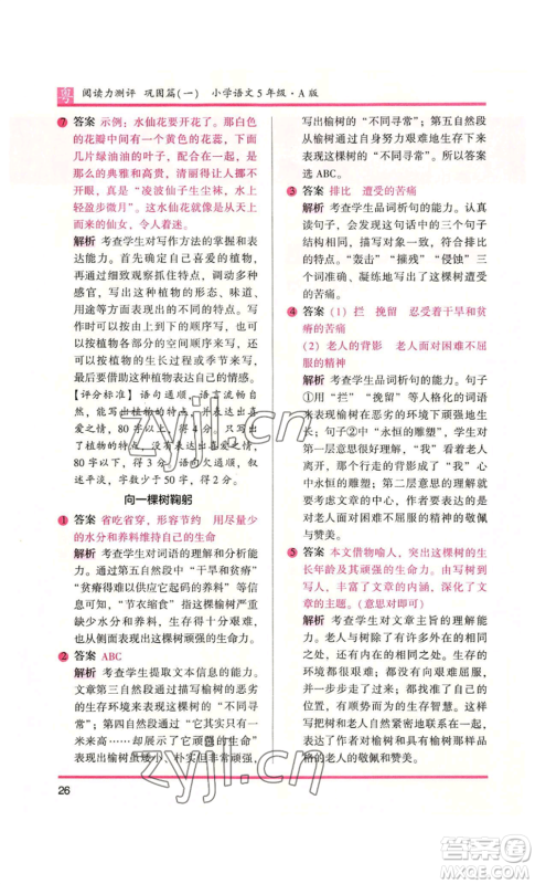 江苏凤凰文艺出版社2022木头马阅读力测评五年级语文人教版A本广东专版参考答案