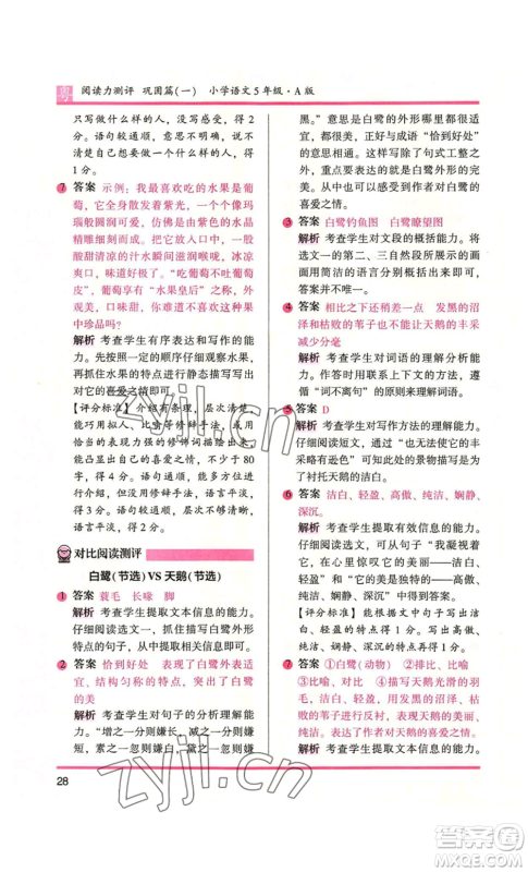 江苏凤凰文艺出版社2022木头马阅读力测评五年级语文人教版A本广东专版参考答案