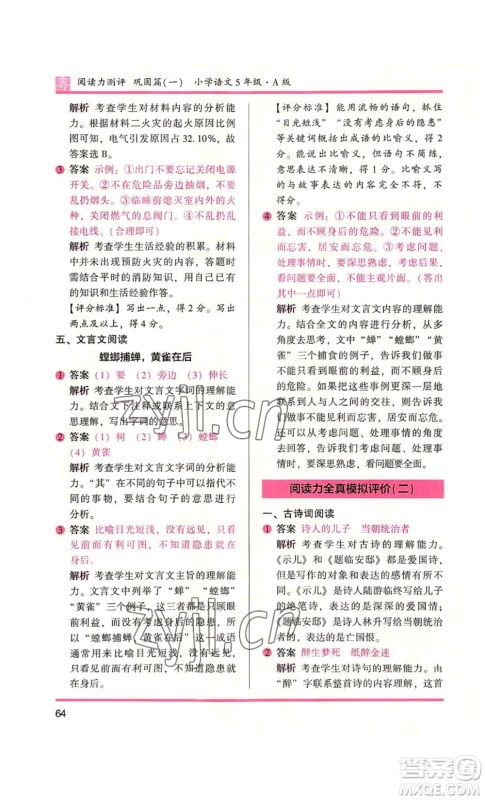 江苏凤凰文艺出版社2022木头马阅读力测评五年级语文人教版A本广东专版参考答案