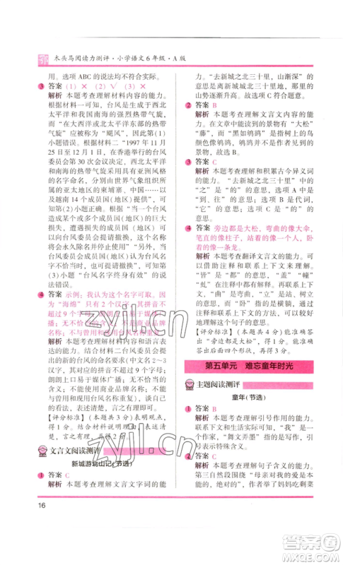 江苏凤凰美术出版社2022木头马阅读力测评六年级语文人教版B版大武汉专版参考答案