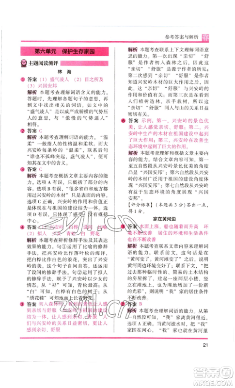 江苏凤凰美术出版社2022木头马阅读力测评六年级语文人教版B版大武汉专版参考答案