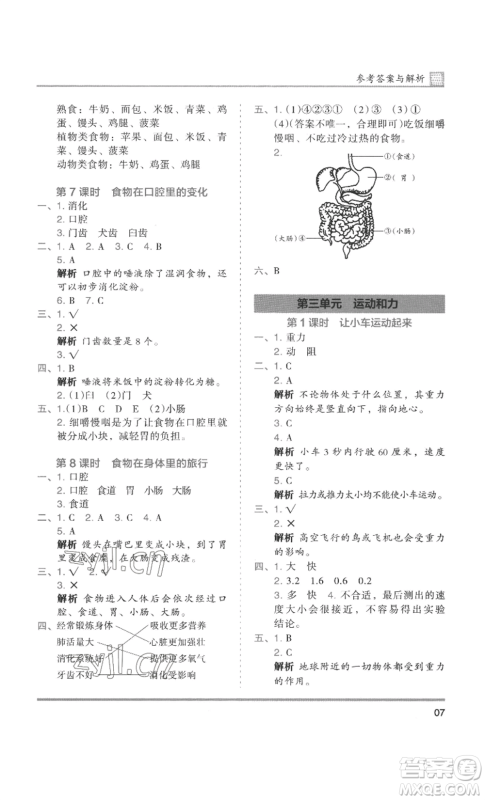 湖南师范大学出版社2022木头马分层课课练四年级上册科学教科版参考答案