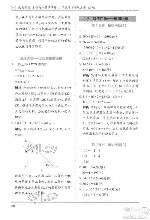 湖南师范大学出版社2022木头马分层课课练五年级上册数学人教版浙江专版参考答案 湖南师范大学出版社2022木头马分层课课练五年级上册数学人教版浙江专版参考答案
