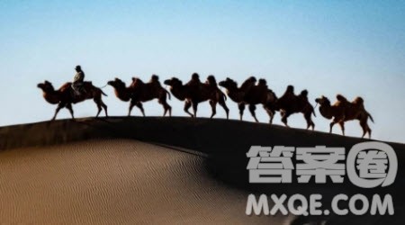 写骆驼的作文600字 关于写骆驼的作文600字