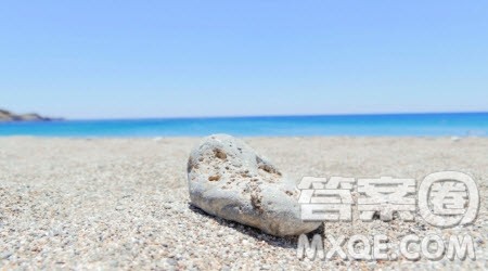 水与岸话题作文800字 关于水与岸的话题作文800字