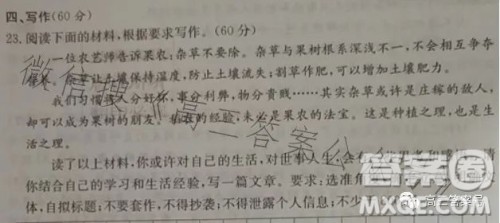 名校联考联合体2022年秋季高三11月联考语文答案