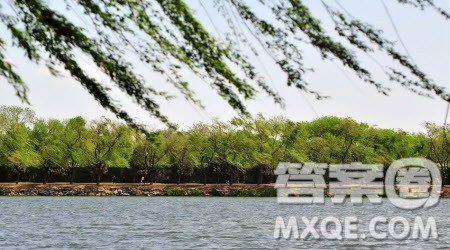 地名洋化的思考材料作文800字 关于地名洋化的思考的材料作文800字