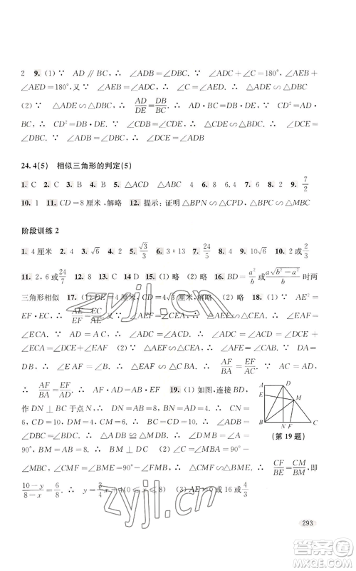 上海科学技术出版社2022新思路辅导与训练九年级数学通用版参考答案