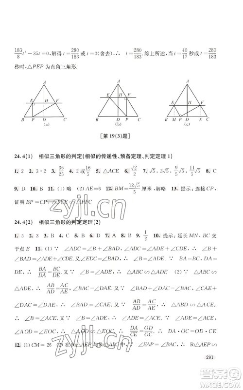 上海科学技术出版社2022新思路辅导与训练九年级数学通用版参考答案