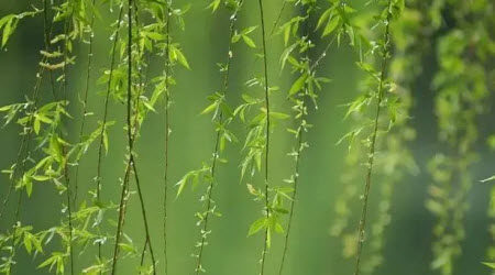 小镇主题作文800字 关于小镇的主题作文800字 小镇主题作文800字 关于小镇的主题作文800字