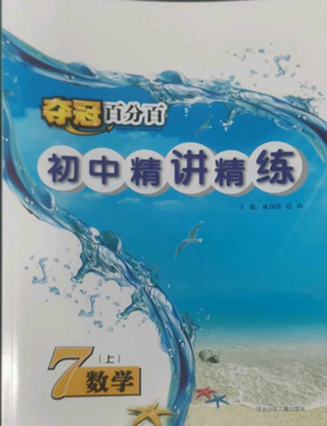 河北少年儿童出版社2022夺冠百分百初中精讲精练七年级上册数学人教版参考答案