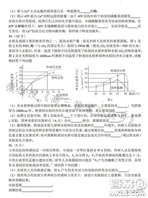 太原2022-2023学年第一学期高三年级期中质量监测生物试卷答案
