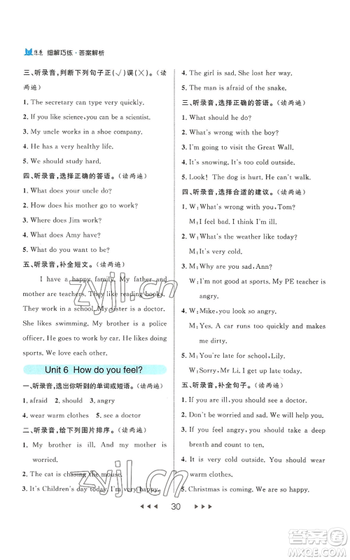 延边大学出版社2022细解巧练六年级上册英语人教版参考答案