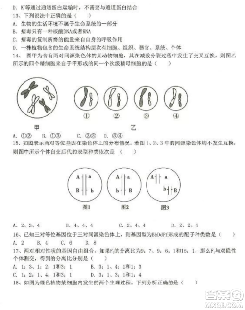 2022-2023齐齐哈尔市八校联合体高三上学期生物期中试卷答案