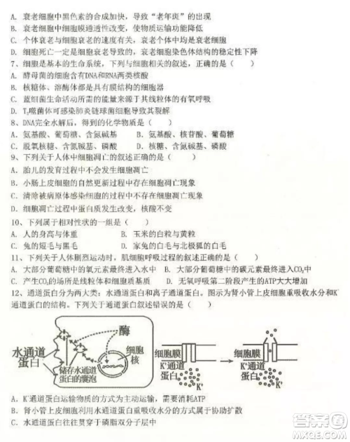 2022-2023齐齐哈尔市八校联合体高三上学期生物期中试卷答案