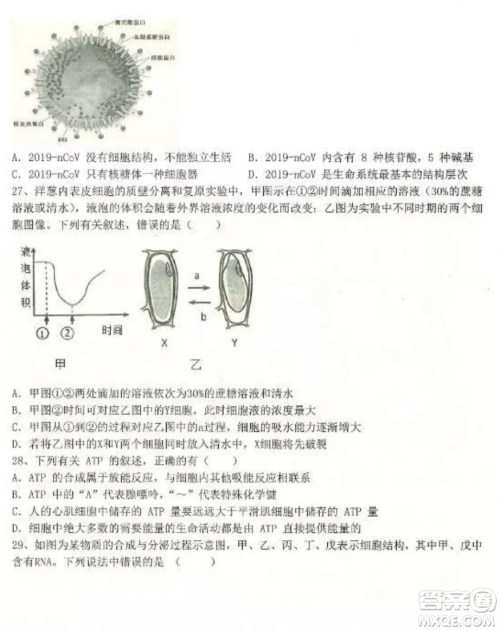 2022-2023齐齐哈尔市八校联合体高三上学期生物期中试卷答案