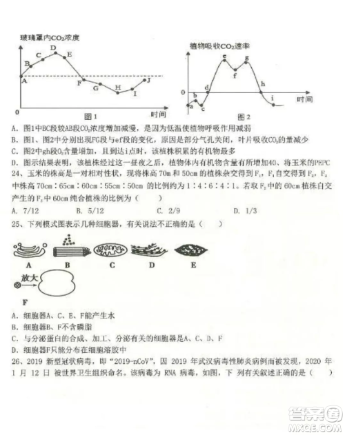 2022-2023齐齐哈尔市八校联合体高三上学期生物期中试卷答案