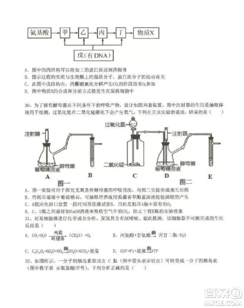 2022-2023齐齐哈尔市八校联合体高三上学期生物期中试卷答案