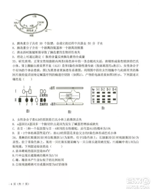 2022-2023齐齐哈尔市八校联合体高三上学期生物期中试卷答案