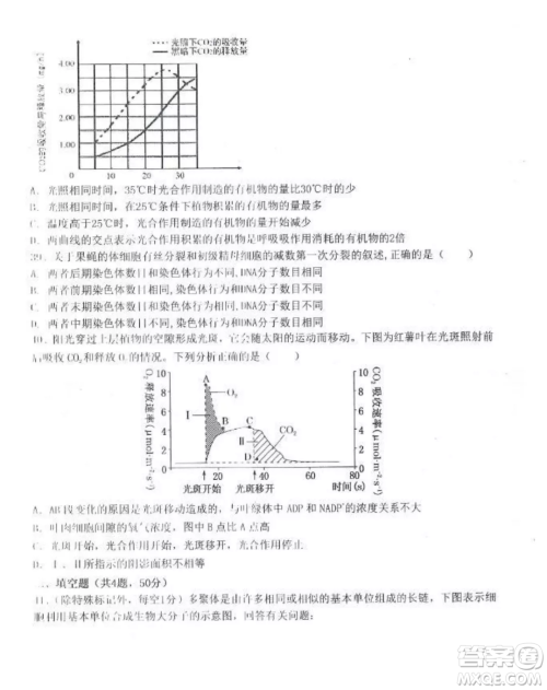 2022-2023齐齐哈尔市八校联合体高三上学期生物期中试卷答案