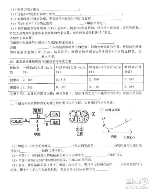 2022-2023齐齐哈尔市八校联合体高三上学期生物期中试卷答案