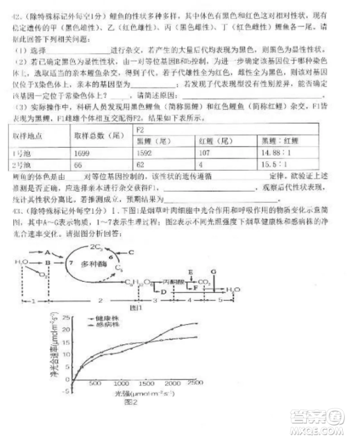 2022-2023齐齐哈尔市八校联合体高三上学期生物期中试卷答案