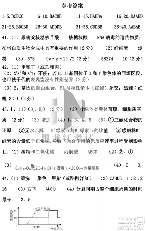 2022-2023齐齐哈尔市八校联合体高三上学期生物期中试卷答案