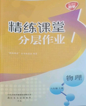 山东友谊出版社2022精练课堂分层作业八年级上册物理人教版参考答案