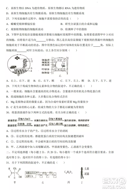 2022-2023齐齐哈尔市八校联合体高一上学期生物期中试卷答案 2022-2023齐齐哈尔市八校联合体高一上学期生物期中试卷答案