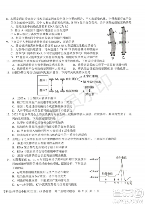 浙江省A9协作体2022学年第一学期期中联考高二生物试题答案
