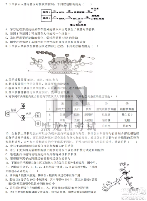 齐齐哈尔市实验中学2022-2023学年度第一学期高二期中考试生物试题及答案 齐齐哈尔市实验中学2022-2023学年度第一学期高二期中考试生物试题及答案