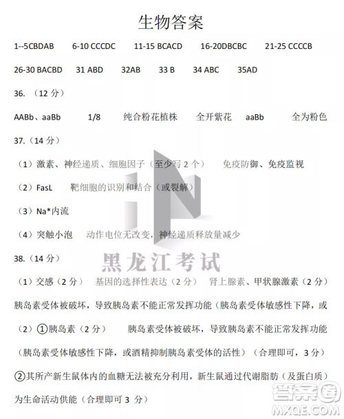 齐齐哈尔市实验中学2022-2023学年度第一学期高二期中考试生物试题及答案 齐齐哈尔市实验中学2022-2023学年度第一学期高二期中考试生物试题及答案