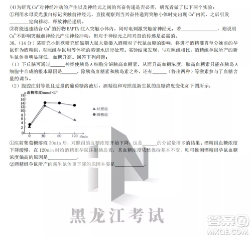 齐齐哈尔市实验中学2022-2023学年度第一学期高二期中考试生物试题及答案 齐齐哈尔市实验中学2022-2023学年度第一学期高二期中考试生物试题及答案