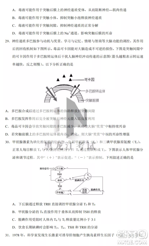 长春外国语学校2022-2023学年第一学期期中考试高三年级理综试卷答案