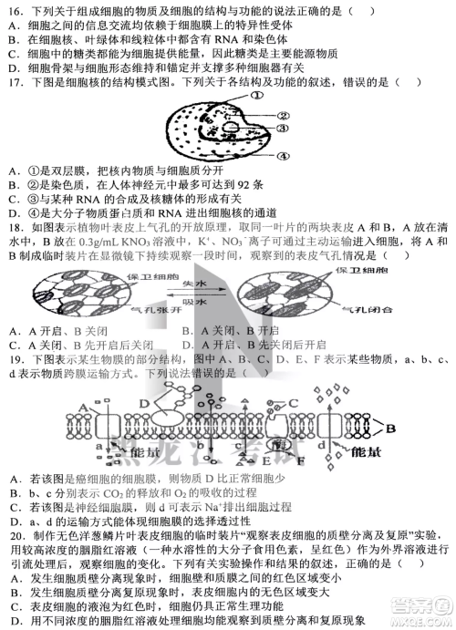 哈三中2022-2023学年度上学期高三学年第二次验收考试生物试卷答案 哈三中2022-2023学年度上学期高三学年第二次验收考试生物试卷答案