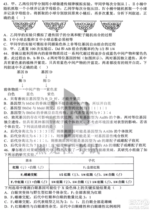 哈三中2022-2023学年度上学期高三学年第二次验收考试生物试卷答案 哈三中2022-2023学年度上学期高三学年第二次验收考试生物试卷答案