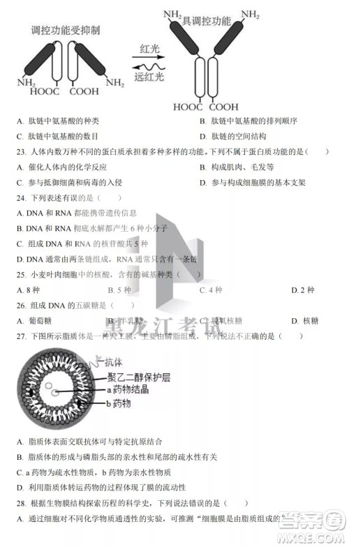 大庆实验中学2022-2023学年度上学期月考高一生物试卷答案
