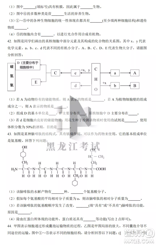 大庆实验中学2022-2023学年度上学期月考高一生物试卷答案
