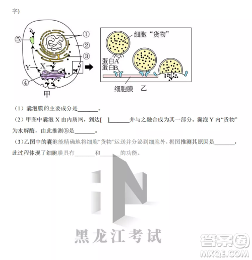大庆实验中学2022-2023学年度上学期月考高一生物试卷答案