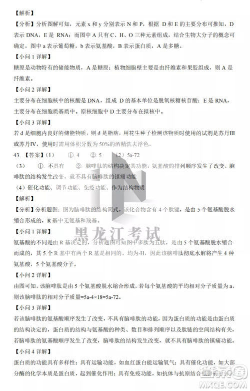 大庆实验中学2022-2023学年度上学期月考高一生物试卷答案