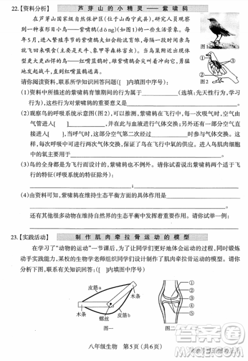 太原市2022-2023学年第一学期八年级期中质量检测生物学试卷答案 太原市2022-2023学年第一学期八年级期中质量检测生物学试卷答案